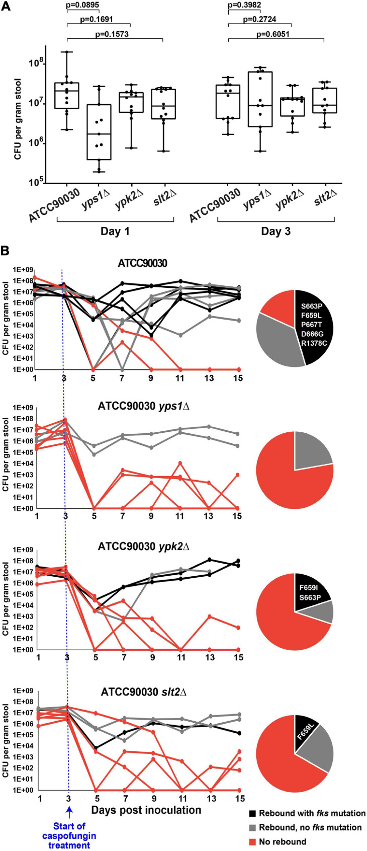 FIGURE 4