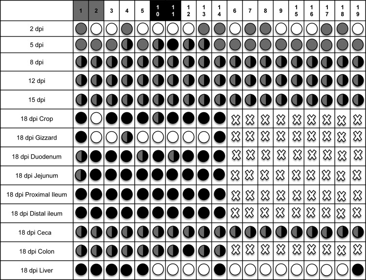 FIG 2