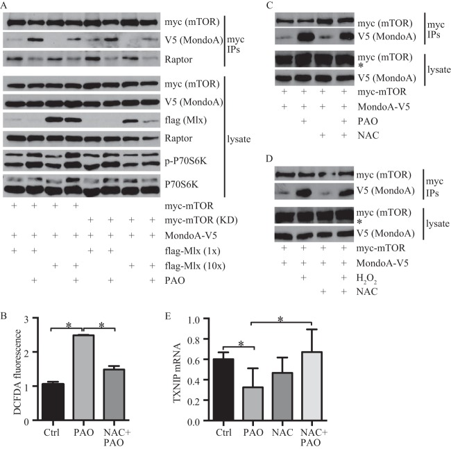 FIG 6