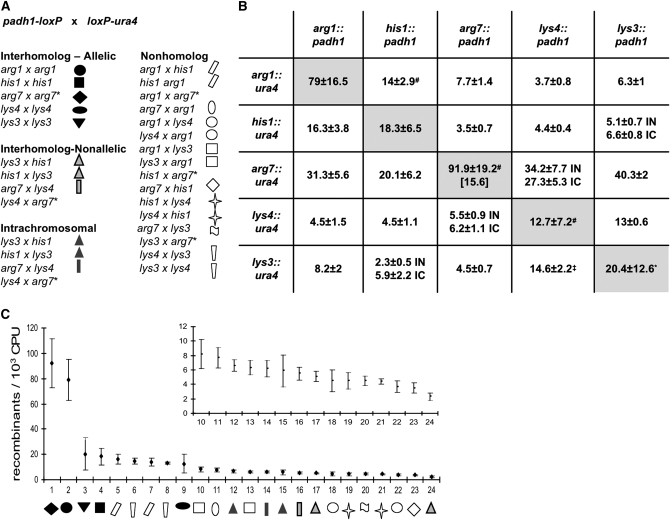 Figure 2.—