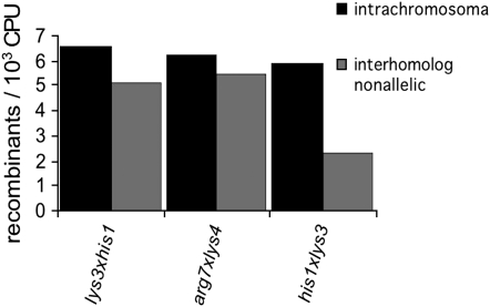 Figure 5.—