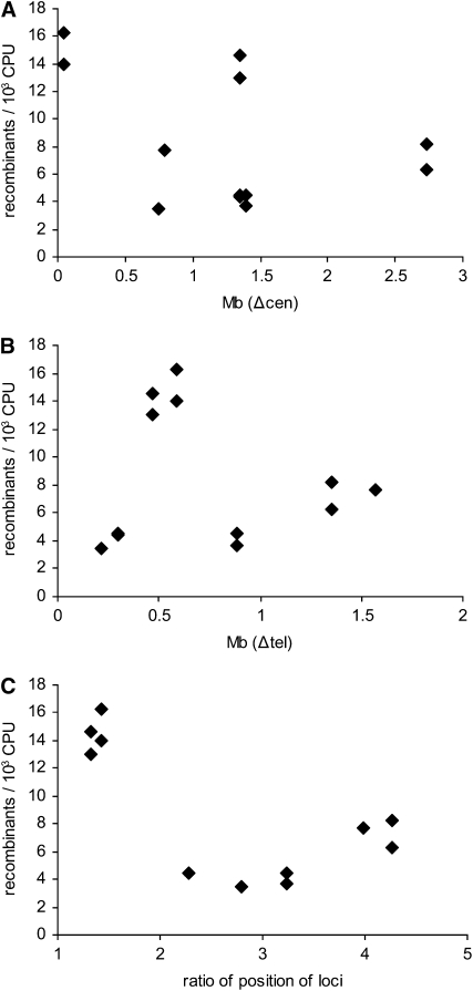 Figure 4.—