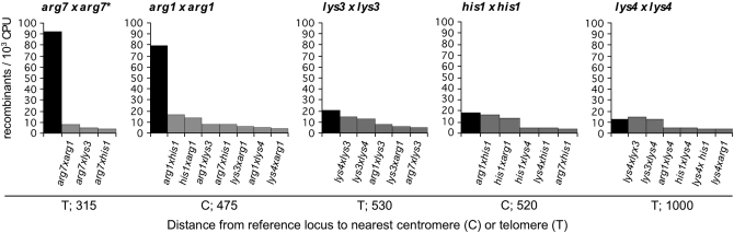 Figure 3.—