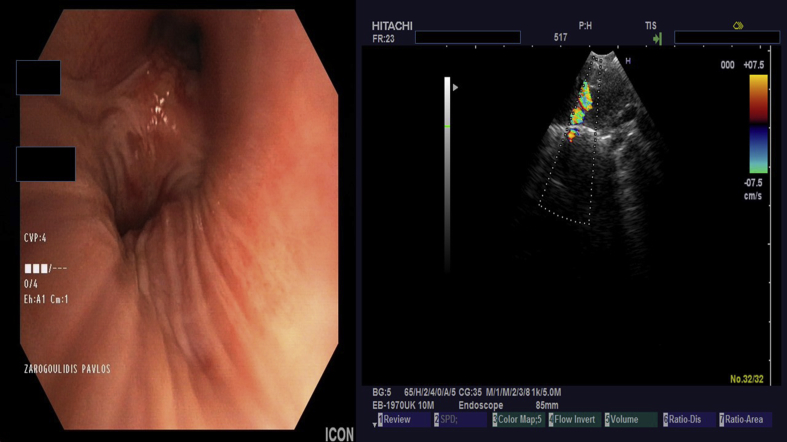 Fig. 7