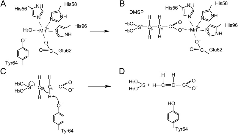 FIG 7