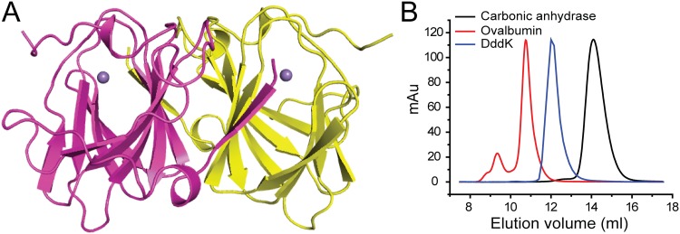 FIG 2