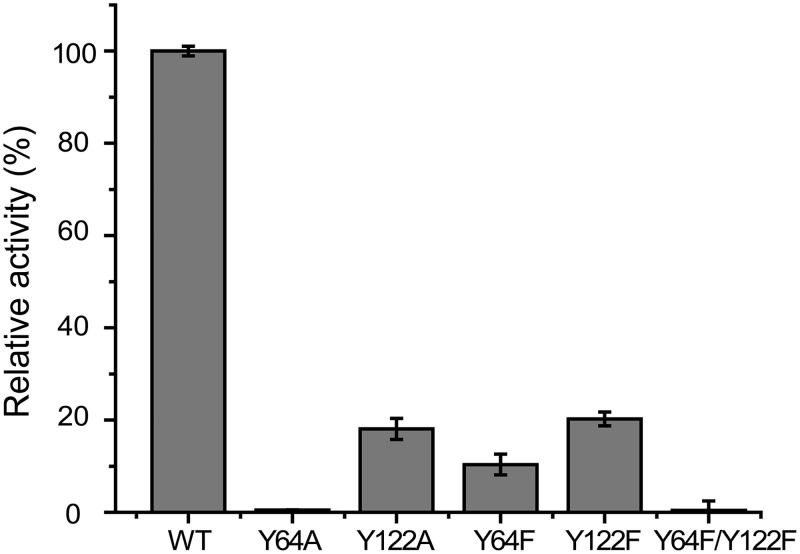 FIG 5