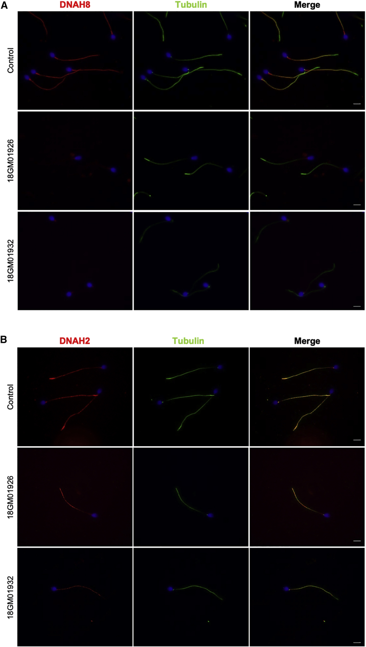 Figure 6