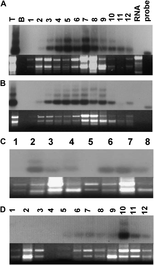 Figure 7.