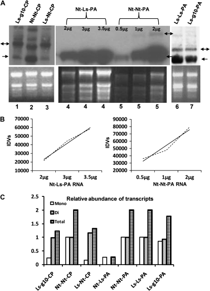 Figure 6.