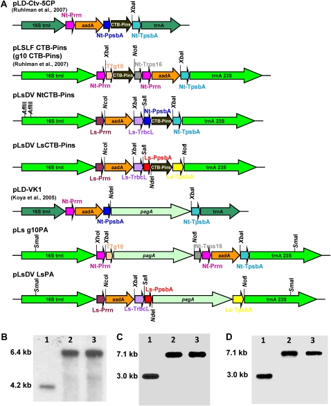 Figure 3.