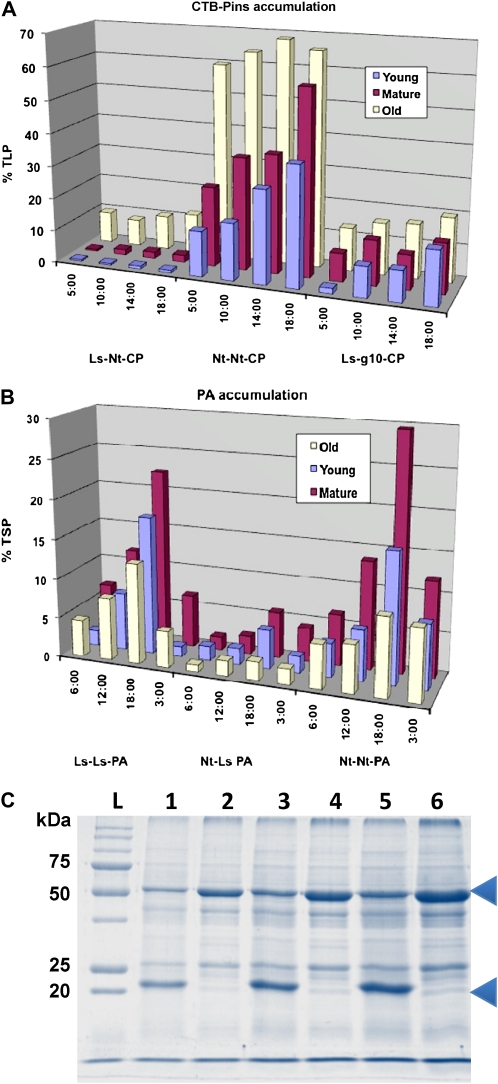 Figure 5.