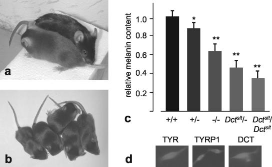 FIG. 5.