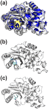 Fig 3