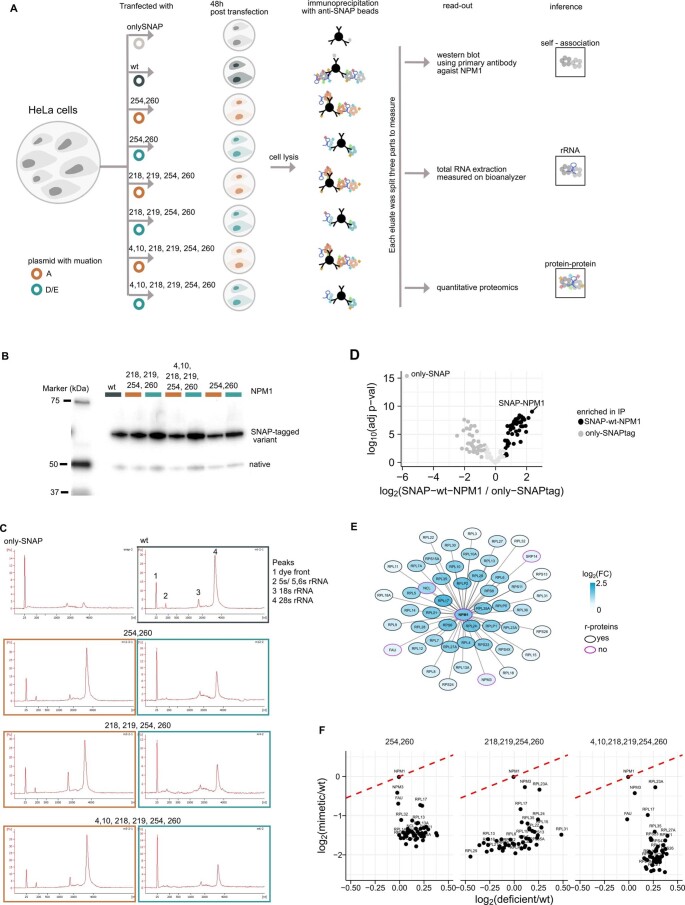 Extended Data Fig. 8