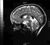 Fig 1.