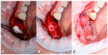 Figure 19