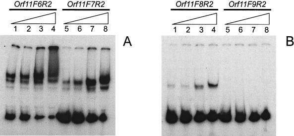 FIG. 5.