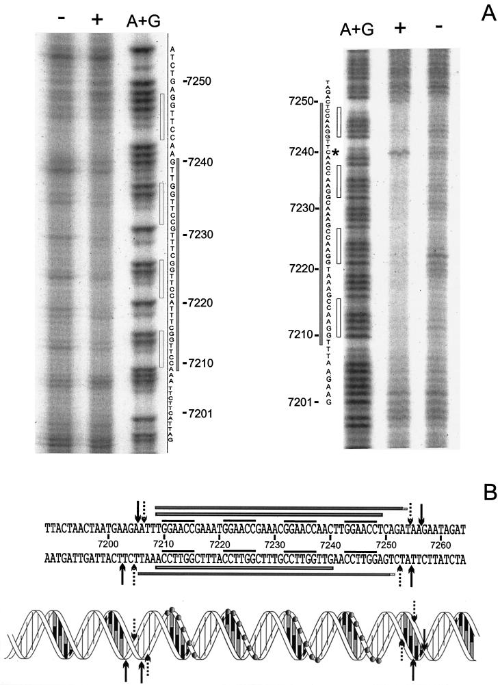 FIG. 6.