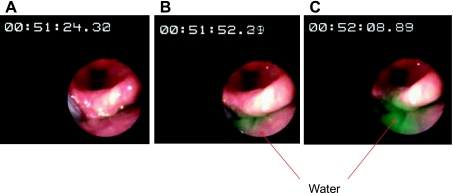 Fig. 2.