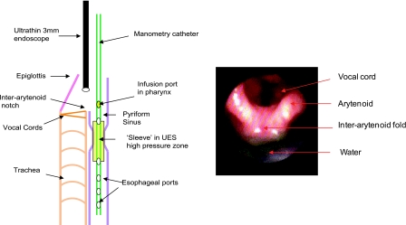 Fig. 1.