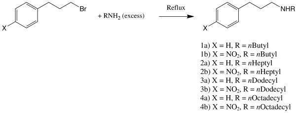 Synthetic Scheme