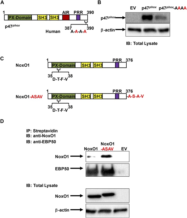 Fig. S9.