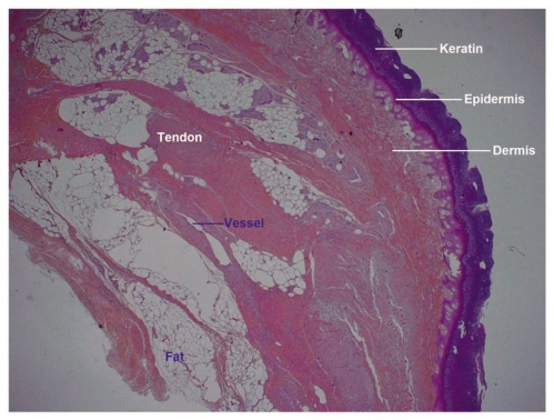 Figure 10