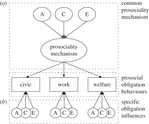 Figure 1.