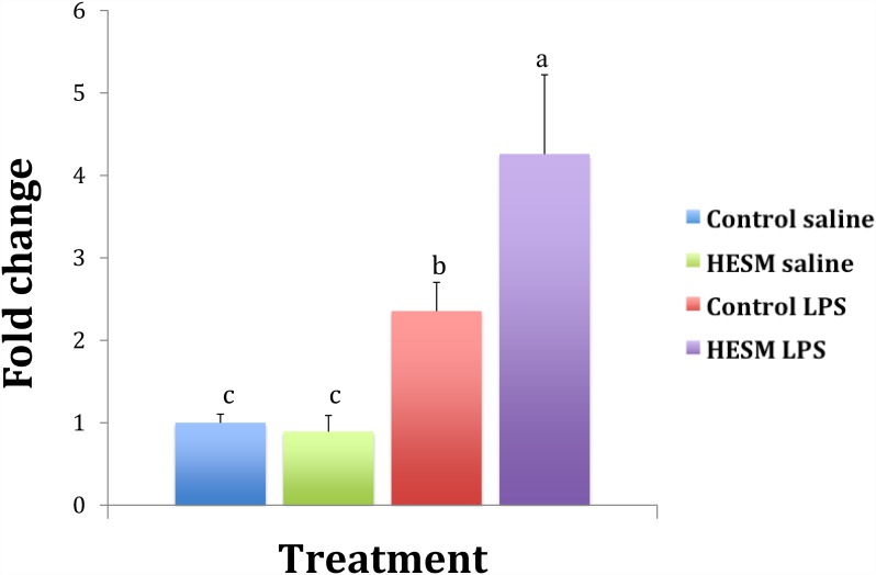 Fig 5