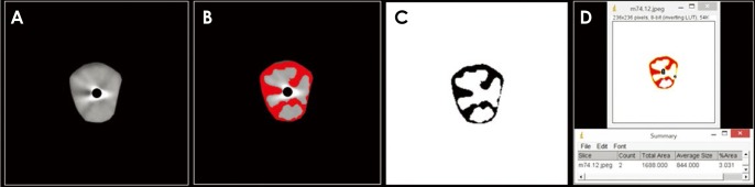 Fig. 3