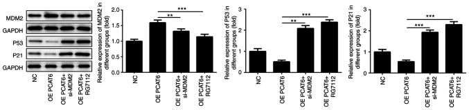 Figure 7.