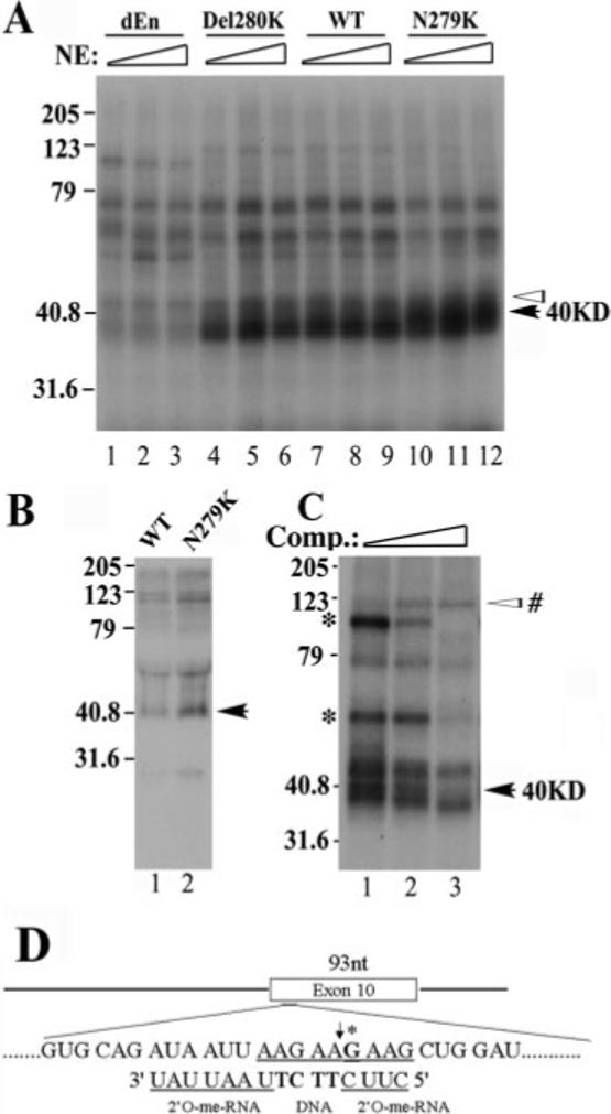 Fig.4