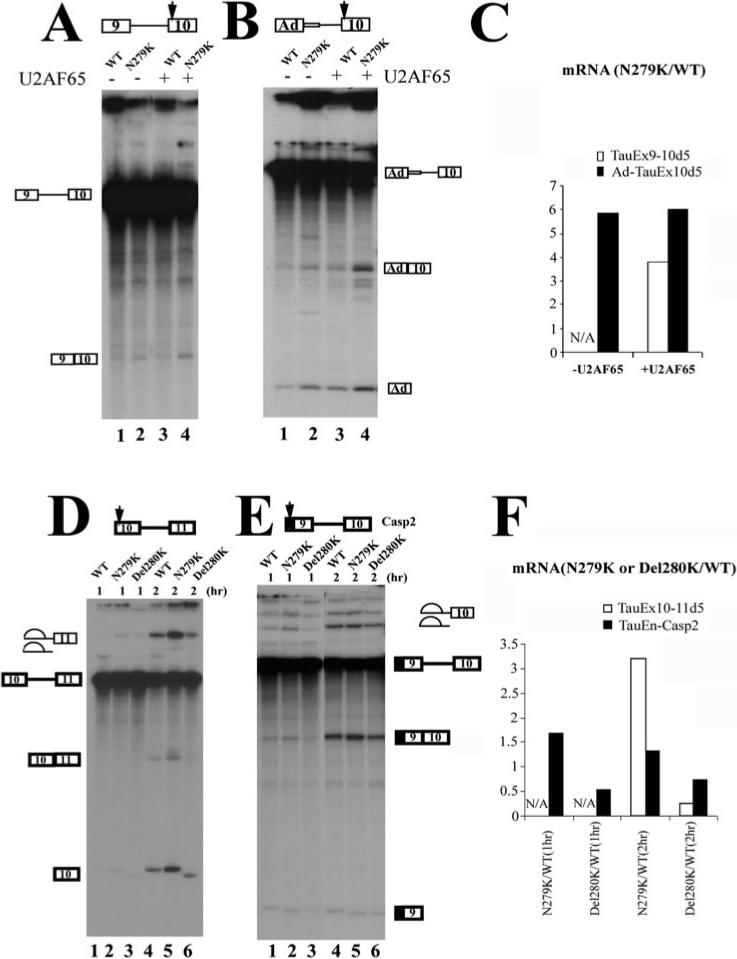 Fig.3