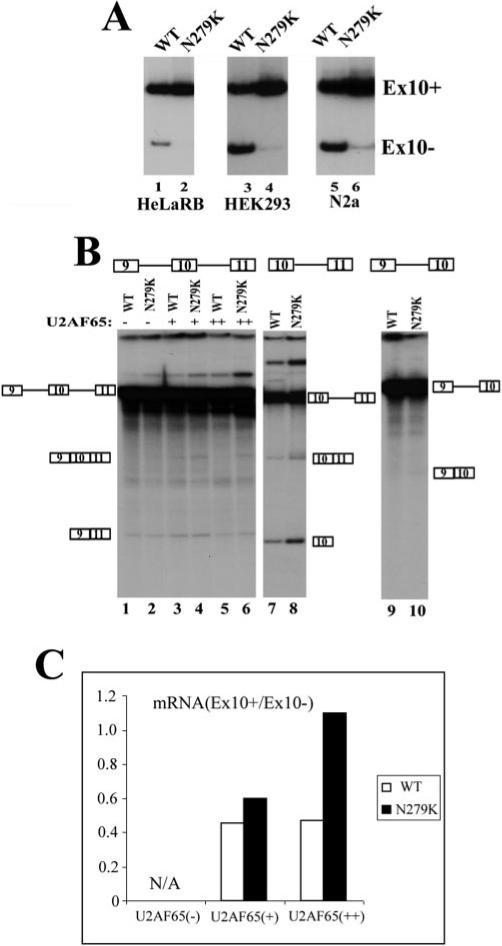 Fig.2