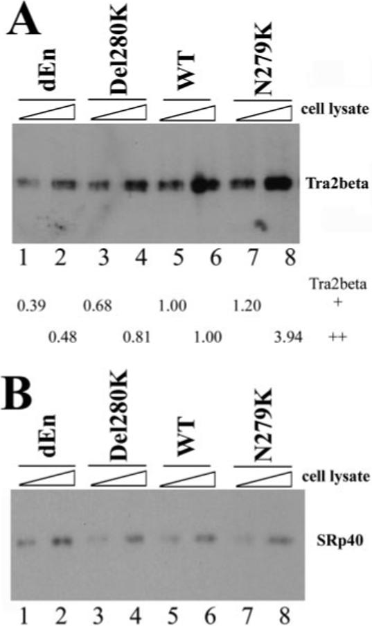 Fig.5