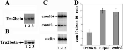 Fig.9