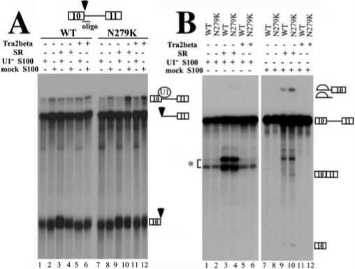 Fig.8