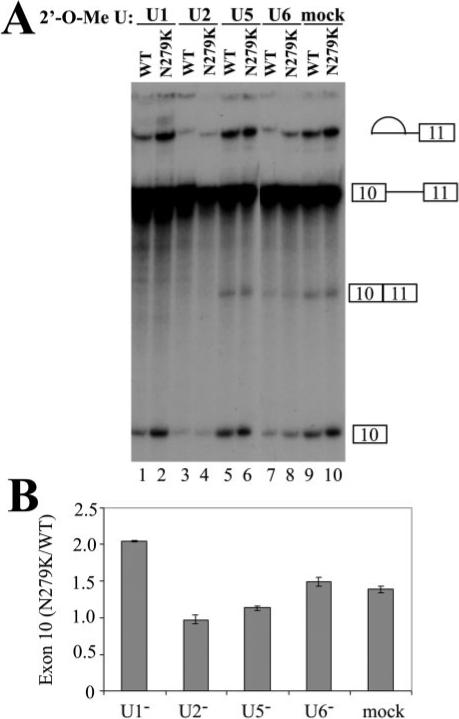 Fig.7