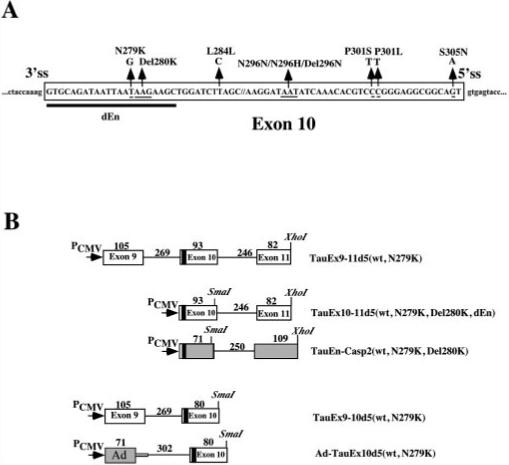 Fig.1