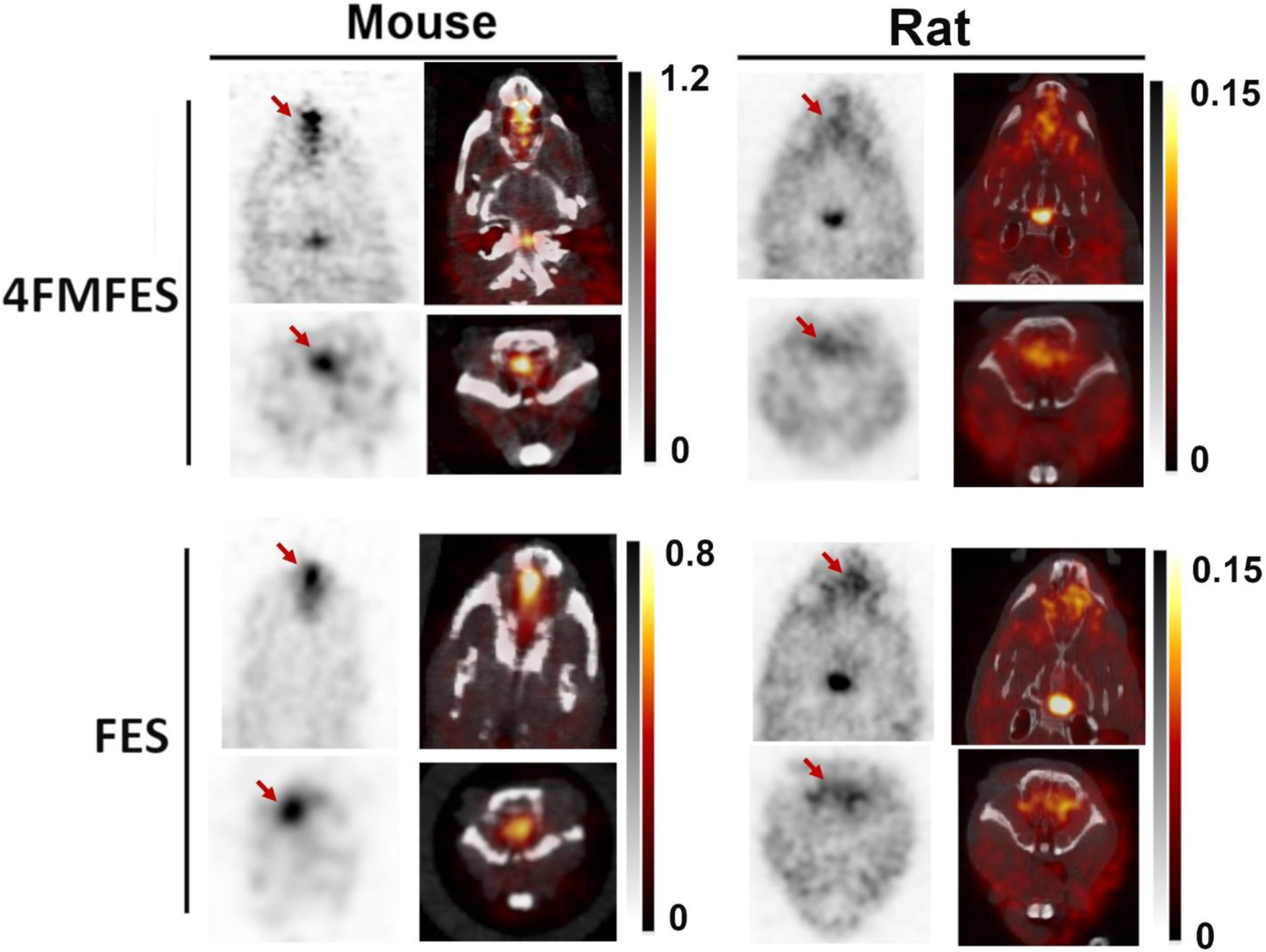 Figure 5: