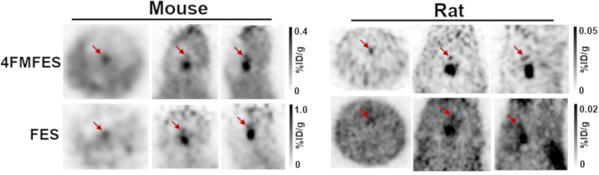 Figure 3: