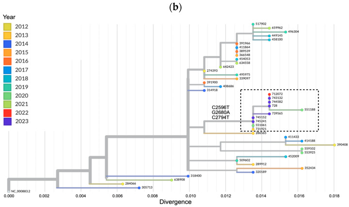 Figure 5