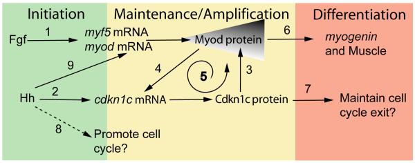 Figure 7