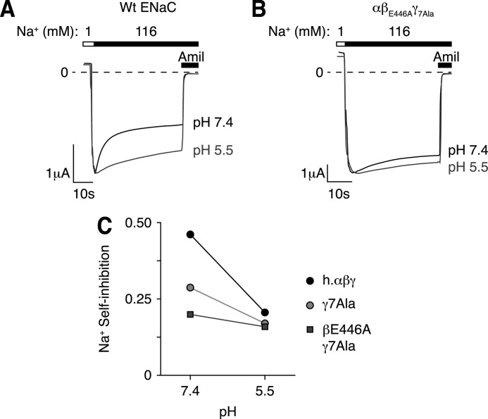 FIGURE 7.