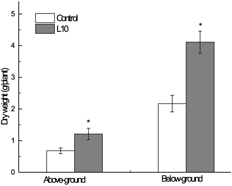 FIGURE 4