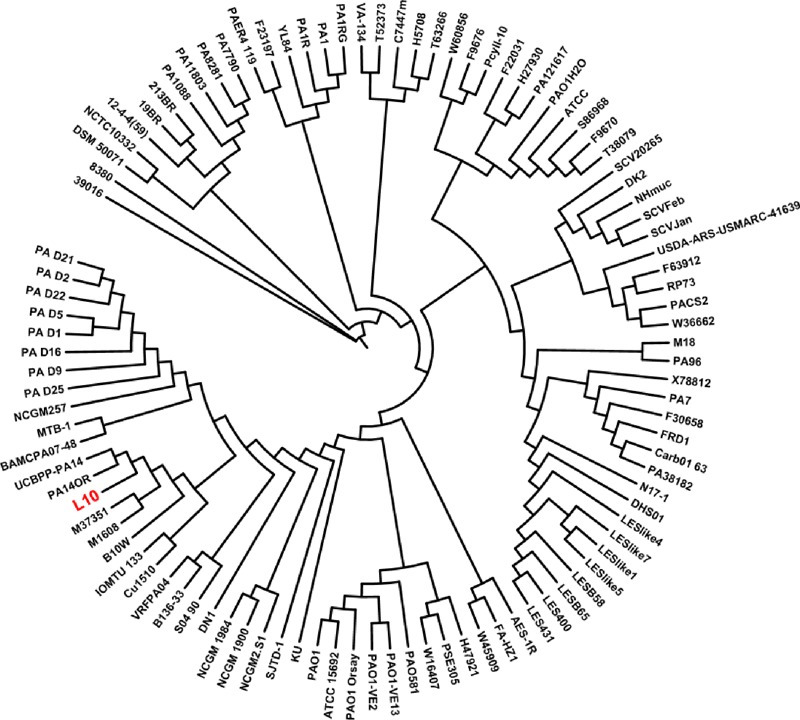 FIGURE 6