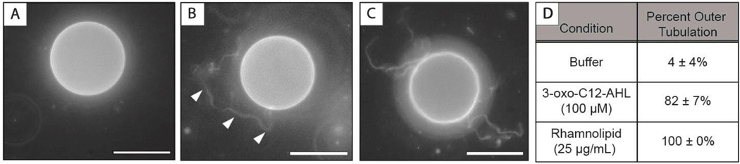 Figure 7: