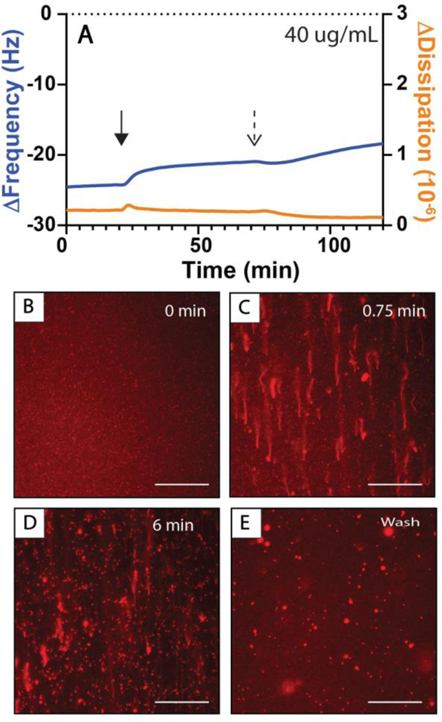 Figure 6: