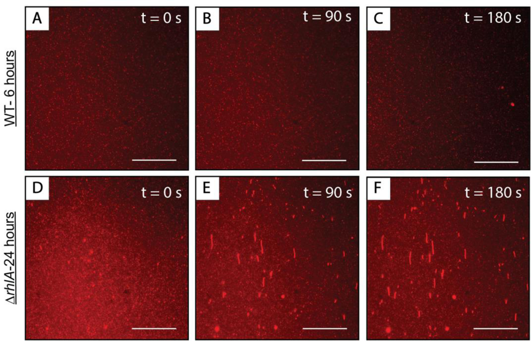 Figure 10: